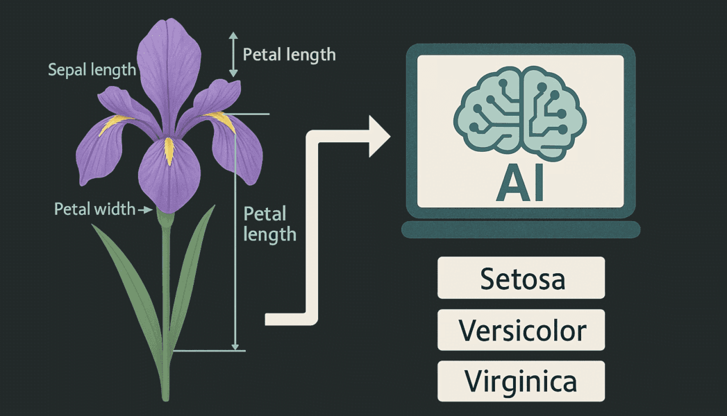 IRIS Flower Classification