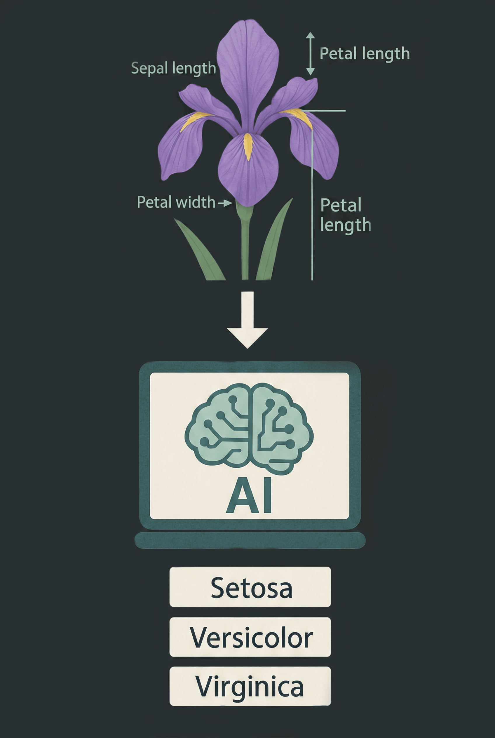 IRIS Flower Classification